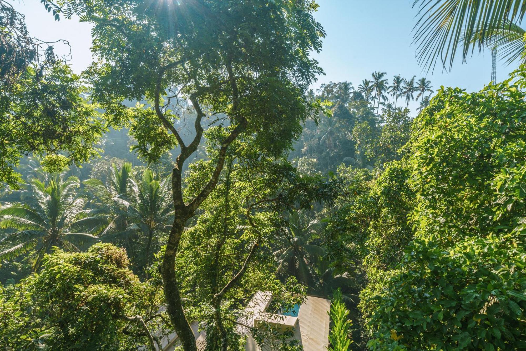 K Club Ubud Habitación foto